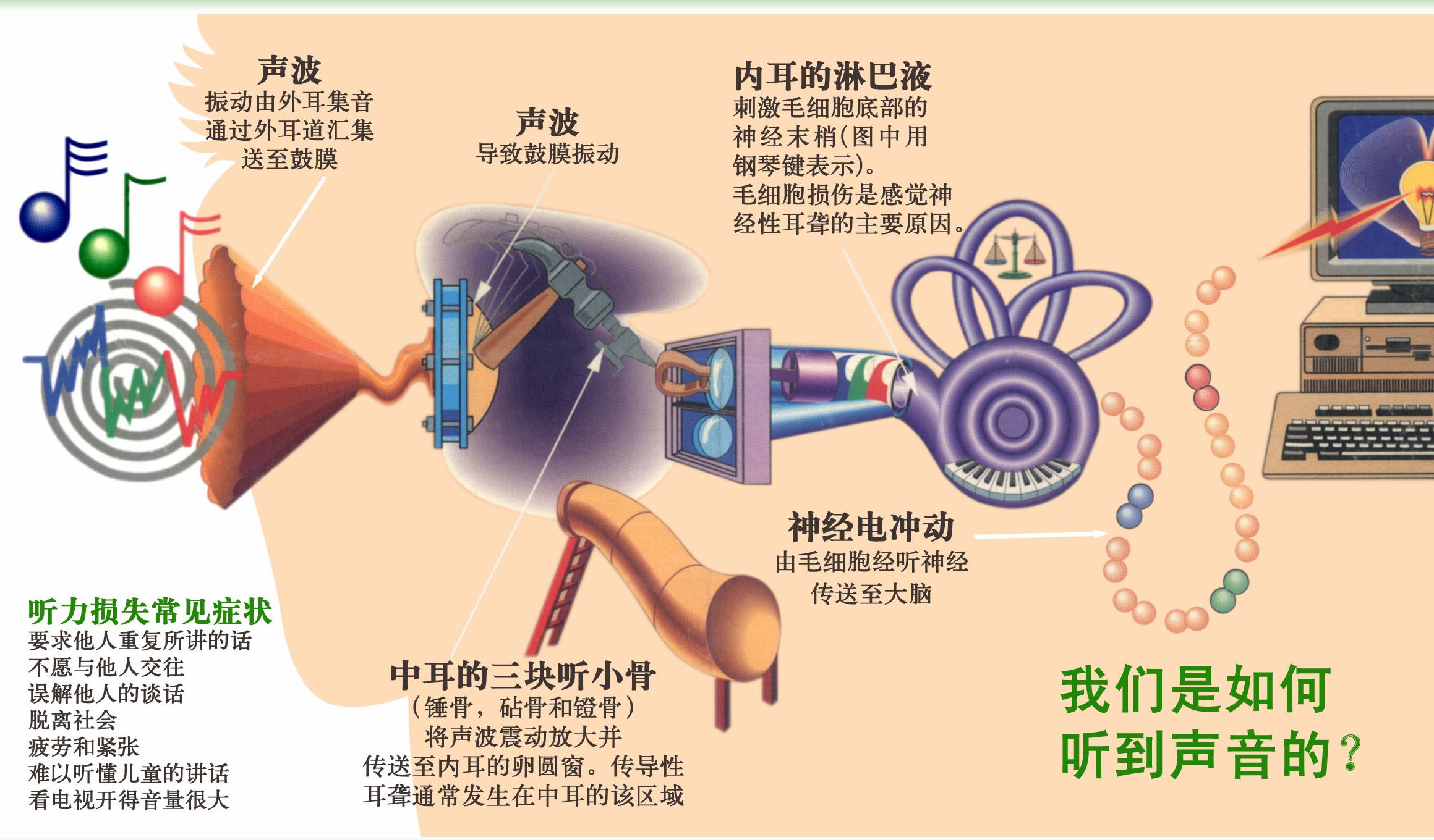 听力损失和助听器补偿